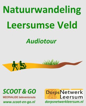 Natuurwandeling Leersumse Veld Portrait